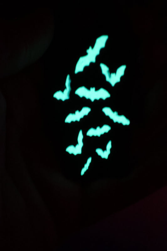 BAT COFFIN STANLY TOPPER