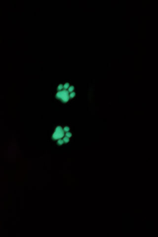 PAW PRINT EARRING STUDS